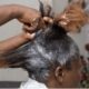 Chemical hair relaxers may contribute to irritation and contact dermatitis; without gloves, hairdressers also risk skin reaction.